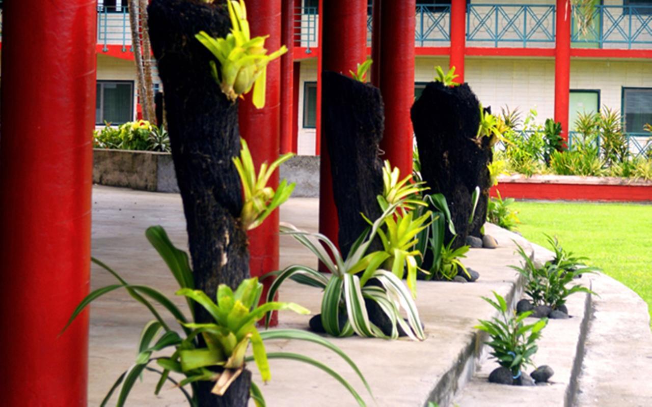 The St Therese Samoa Retreat And Accommodation Tuana'i Exterior foto